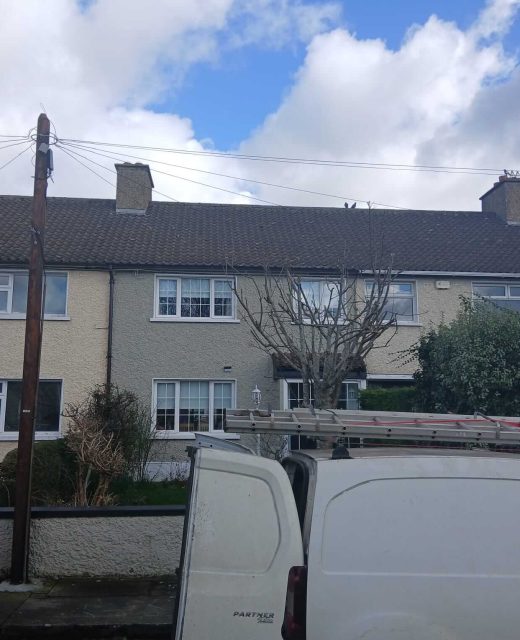 roof cleaning service