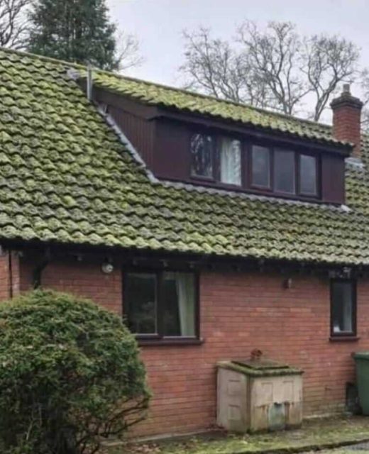 Roof Cleaning Service