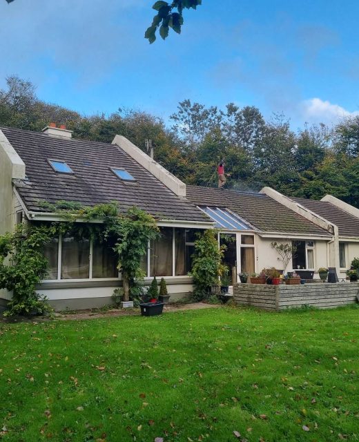 Roof Cleaning Service in Dublin