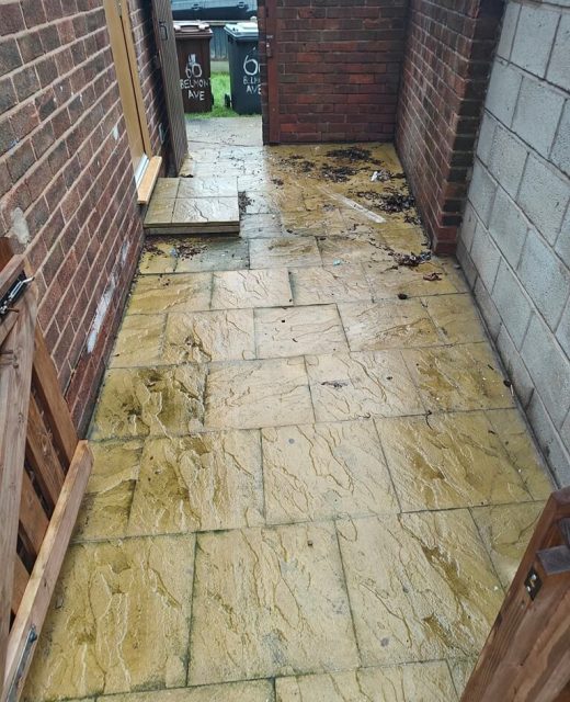 Patio Cleaning Service