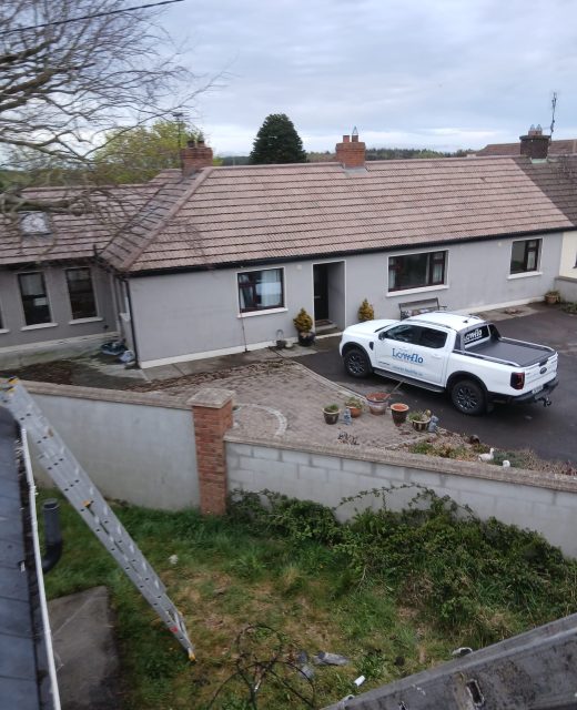 Roof Cleaning