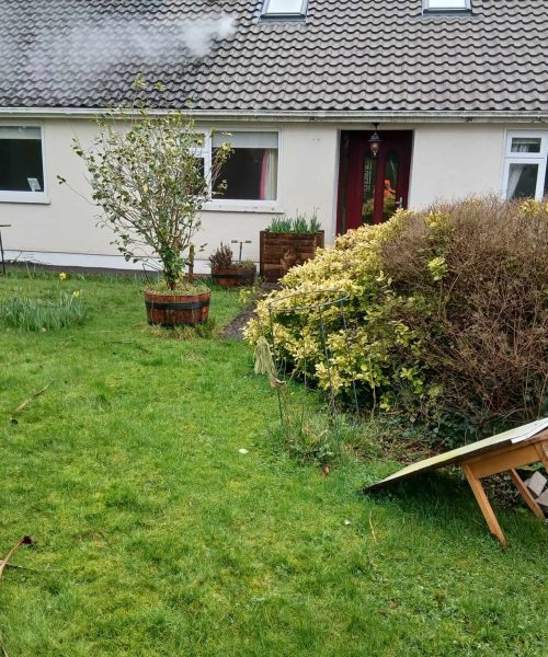 Roof And Gutter Cleaning Service