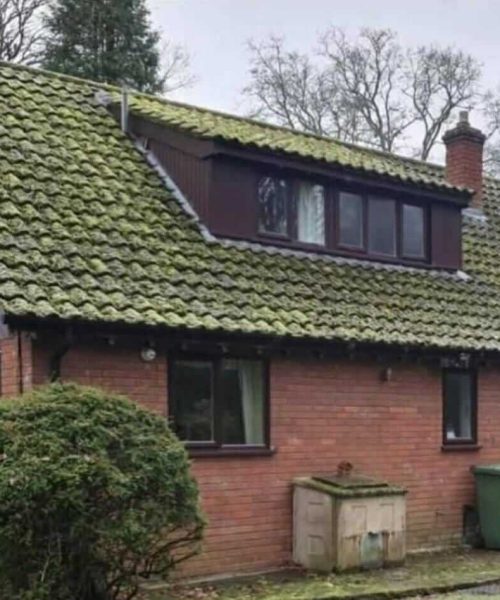 Roof Cleaning Service